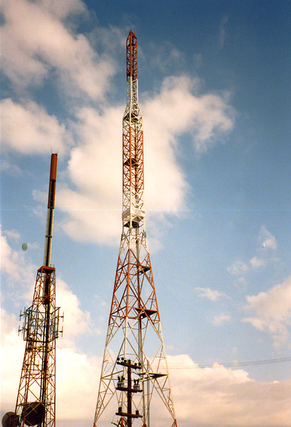 288.jpg