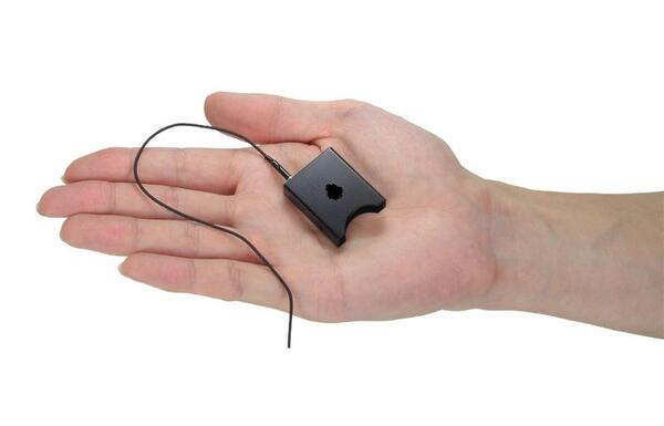 8a.jpg